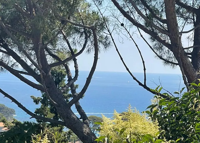 K-sea Boutique De Luxe A *