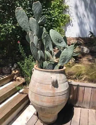 Villa K-sea Boutique De Luxe A Cassis